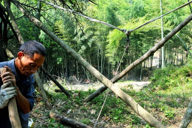 楠竹 吊拉 创收