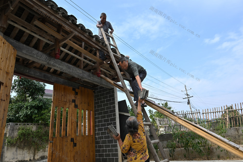 乡村振兴 驻村工作 帮扶 