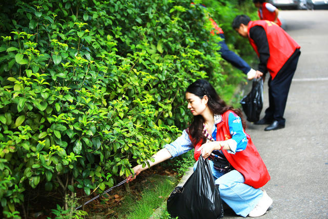 湖南  郴州  苏仙区 石榴湾社区  大清扫   迎国庆  