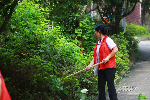 湖南  郴州  苏仙区 石榴湾社区  大清扫   迎国庆  