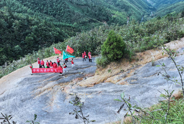 湖南桂东 千年鸟道 护鸟飞 志愿者 鸟岭