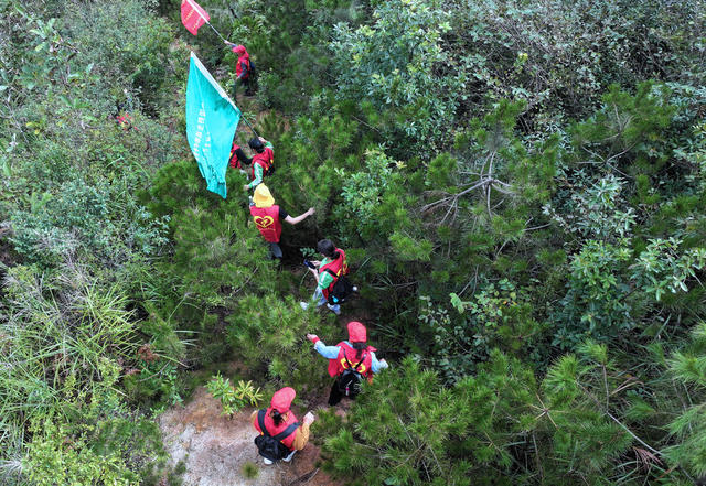 湖南桂东 千年鸟道 护鸟飞 志愿者 鸟岭