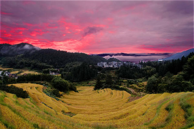 湖南桂东 丰收景象 画卷 禾坪村 朝霞 云海 青山