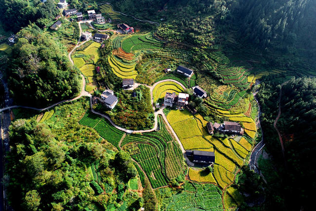 湖南桂东：仲秋乡村美  处处入画来