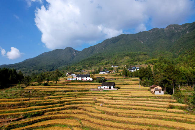 湖南桂东：仲秋乡村美  处处入画来