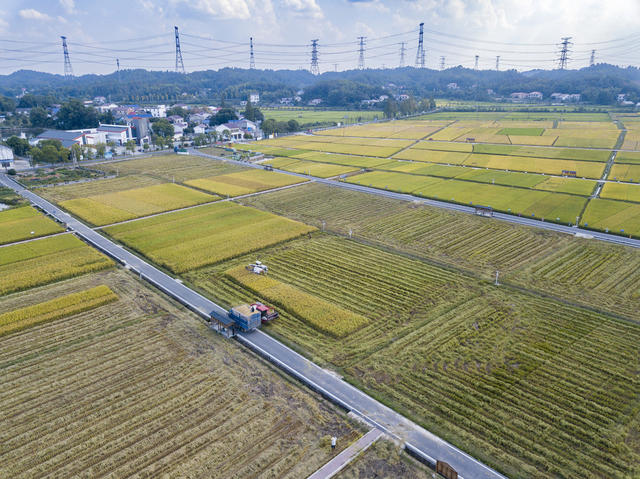农业 湖南 长沙 隆平稻作公园 水稻 丰收 收割机 稻田 
