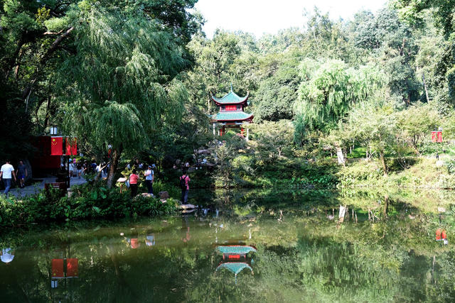 爱晚亭游人如织