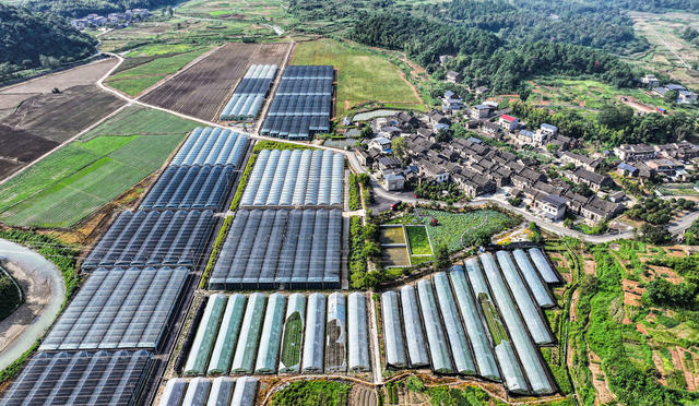 湖南 郴州 坳上 粤港澳大湾区 
 菜篮子 航拍  湖南  郴州 
 苏仙区  坳上镇  坳上古村  郴州市欣兴源  农民  李利华  蔬菜 高科技  种植   广东菜心 芹菜    绿叶青菜    辣椒  基地  绿色生态  蔬菜种植  大湾区 