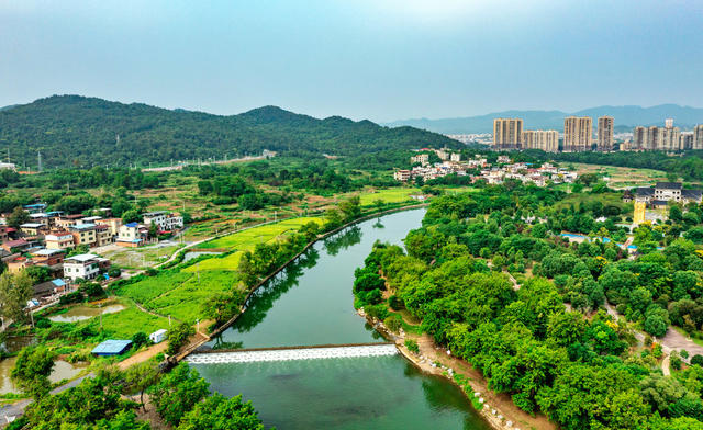 河长制  岸线治理  生态修复  紫水河