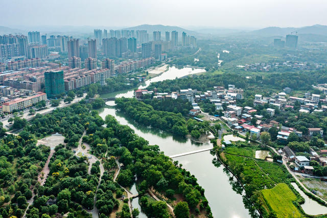 河长制  岸线治理  生态修复  紫水河