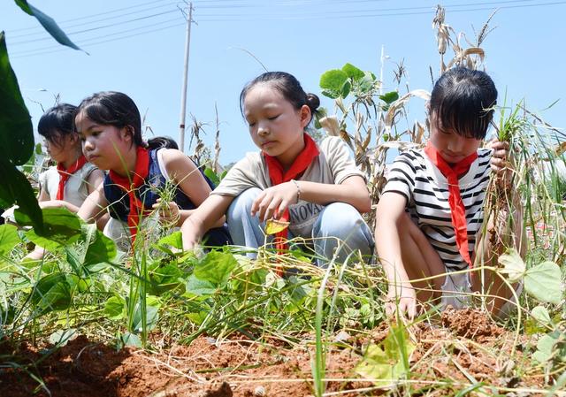 劳动基地里的开学第一课