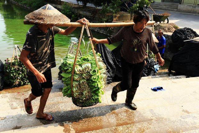 打好产业“特色牌”