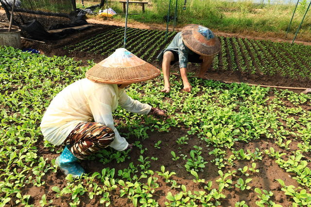 打好产业“特色牌”