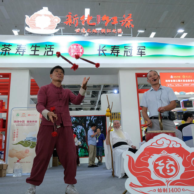 第16届，湖南茶业，博览会