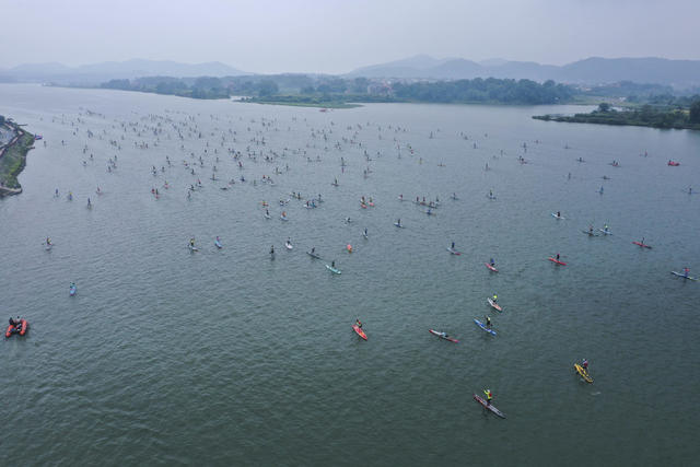 体育 旅游 桨板运动 天子湖国家湿地公园