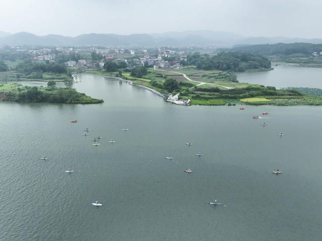 体育 旅游 桨板运动 天子湖国家湿地公园