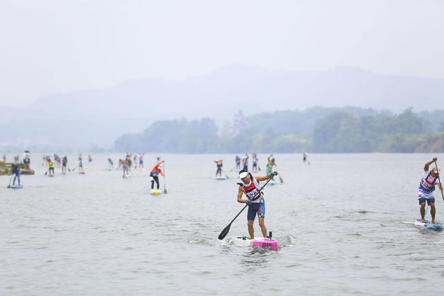 体育 旅游 桨板运动 天子湖国家湿地公园