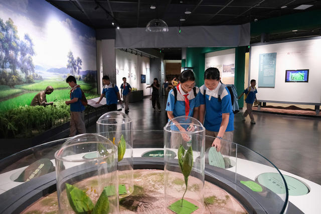 隆平水稻博物馆