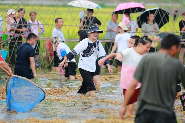 稻花鱼  乡村振兴