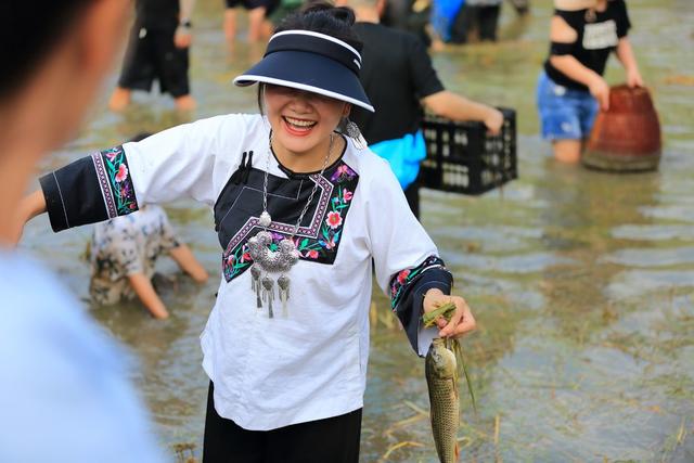稻花鱼  乡村振兴