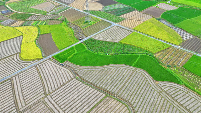 多彩 田园 乡村