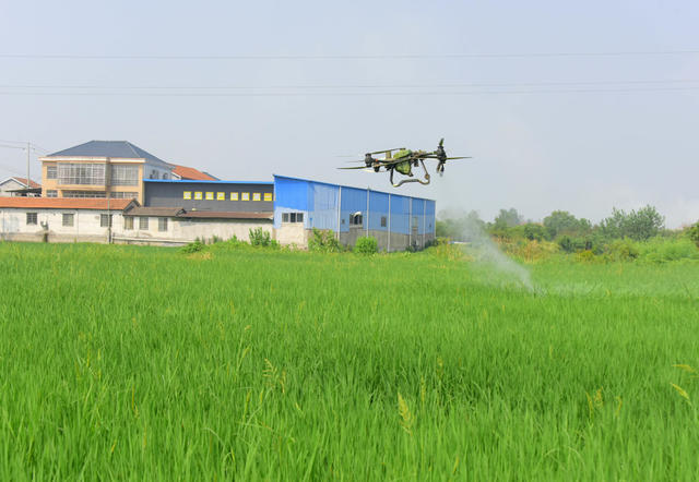 农业  水稻生产  抽穗灌浆期  病虫害防治  空中管护  一喷多促
