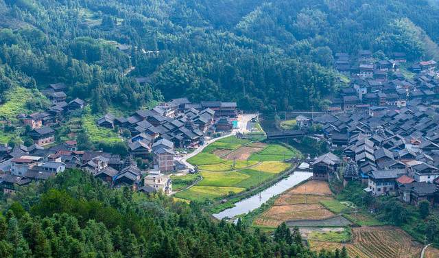 古村 通道