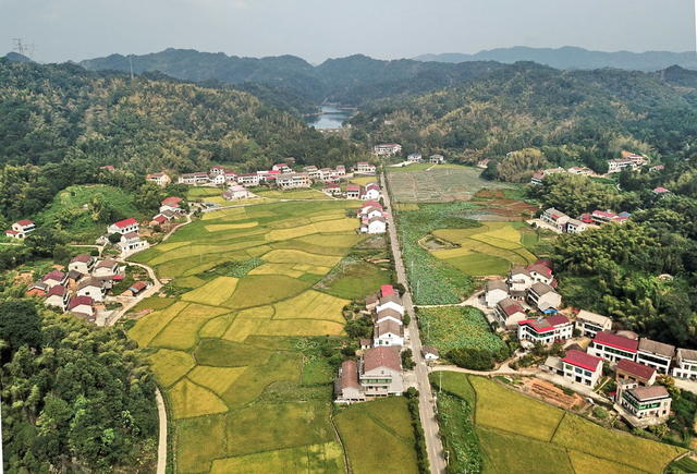 美丽囗乡村