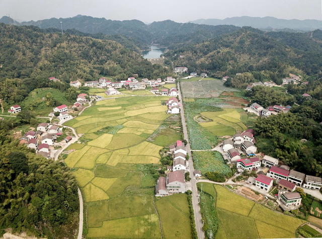 美丽囗乡村