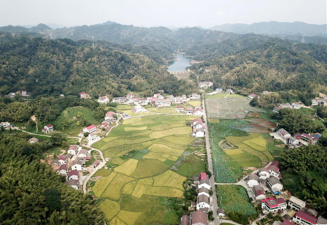 美丽囗乡村