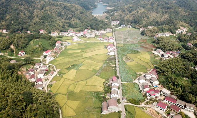 美丽囗乡村