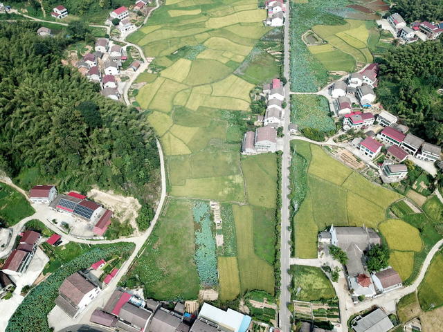 美丽囗乡村