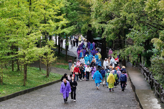 国庆 假期 张家界 旅游