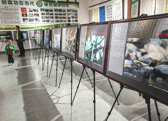 假期  科普馆  作品  科普  文化  活动  国庆  