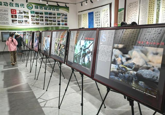 假期  科普馆  作品  科普  文化  活动  国庆  