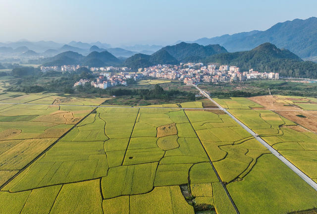 宁远
金秋
田园

