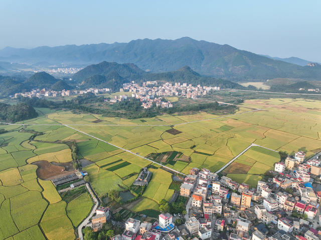 宁远
金秋
田园
