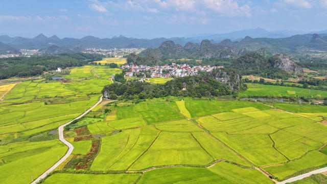 金秋 美景