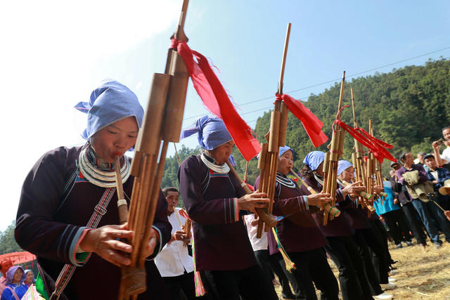 侗族 重阳节 村寨 芦笙赛 丰收 敬老 美德