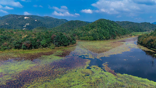 生物多样性  高山湿地  自然保护区  生态保护
