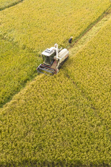 娄底 农业 机械化 增收