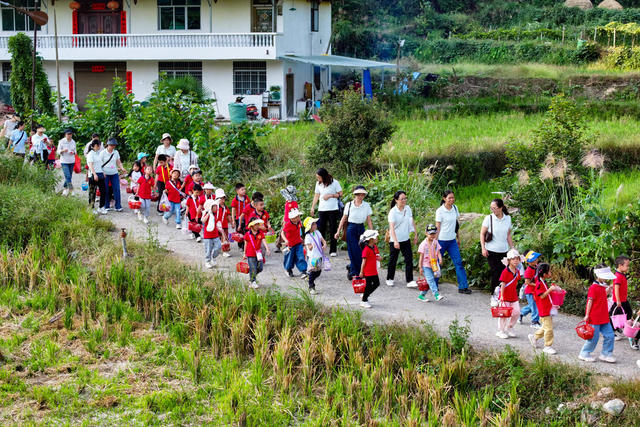 丰收 劳动 教育 课堂 田间地头 学习 体验 节粮
