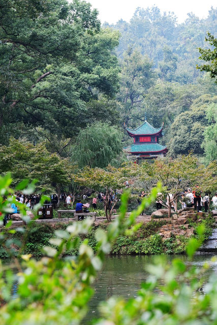 节后“错峰游”升温，爱晚亭
