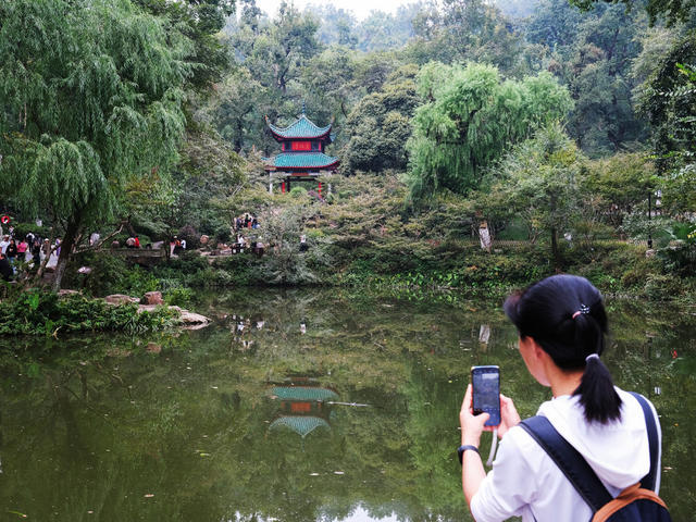 节后“错峰游”升温，爱晚亭