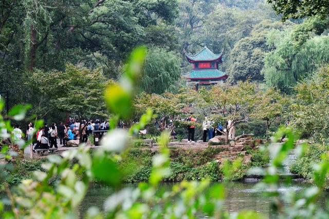 节后“错峰游”升温，爱晚亭