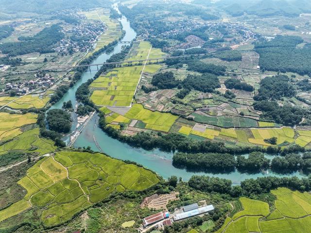 田园
稻田
道县