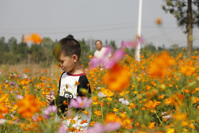 湖南 新田  “六小园” “微幸福” 农村人民环境