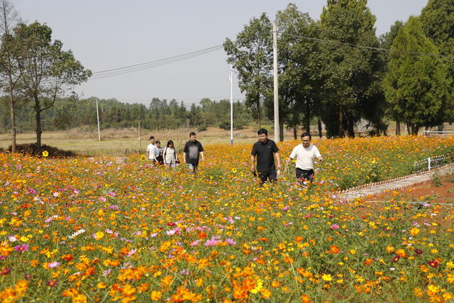 湖南 新田  “六小园” “微幸福” 农村人民环境