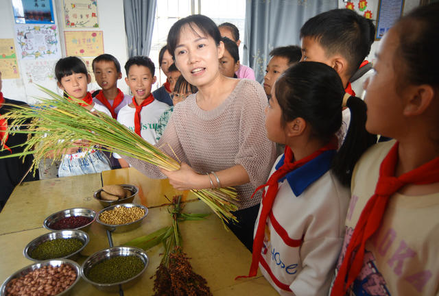 嘉禾：珍爱粮食 从我做起