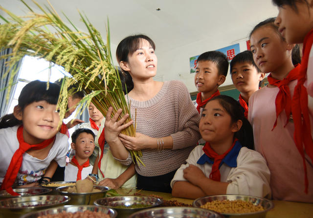 嘉禾：珍爱粮食 从我做起